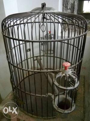 It is a Antique Pital Bird And Pegion cage