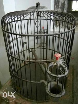 It is a Antique Pital Pegion and Bird cage
