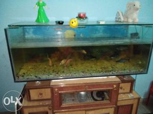 Its a new aquarium i buy this  and urgent