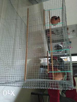 New big cage for birds with swinging and pots