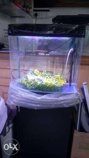 New imported curved fish tank in wholesale price only tank