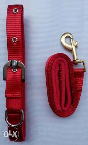 Nylon leash with collor for large breed dogs