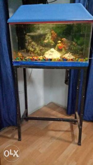 Rectangular Fish Tank 2/1 ft with cap,stand and 24 fish