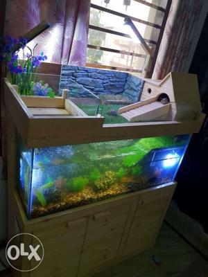 Rectangular Pet Tank With White Wooden Stand