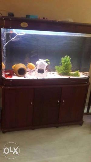 Rectangular curved Brown Framed Fish Tank