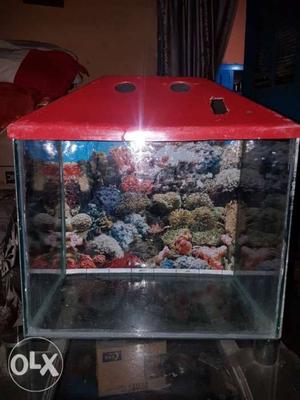 Rectnagular Red Framed Fish Tank