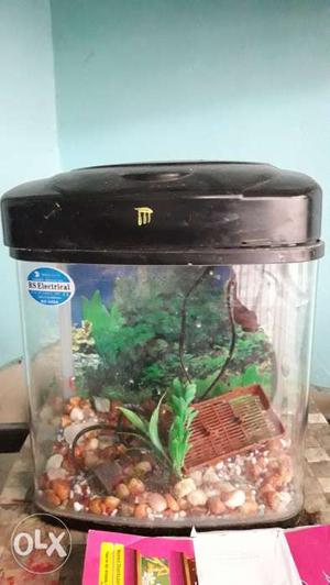 Rs Electricals fish tanks
