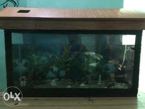 Sell Any size new aquarium on order at cheap rate