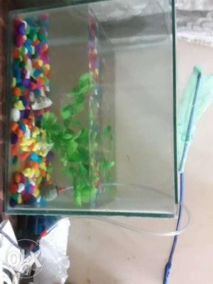 Small fish tank with ball oxygen fish net