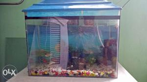 This aquarium if 2 feet *1feet*16inch without fishes call me