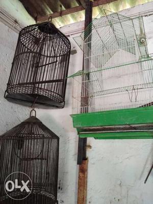 Two Black And One White Wire Bird Cages