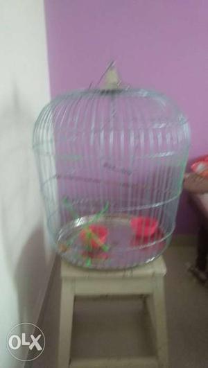 Very big cage for birds round only 2days old my