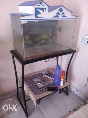 White And Blue Hood Fish Tank