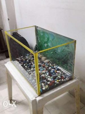 Yellow framed fish tank. depth 1o inch width 1o