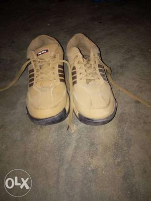 Brand Shoe With Low Price