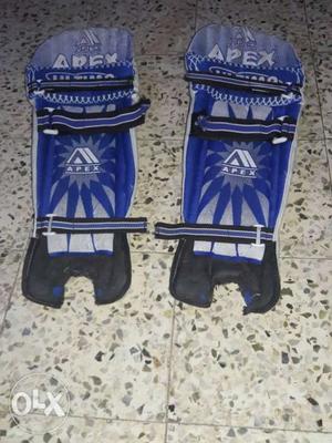 Pair Of Blue-white-and-black Apex Goalie Pads
