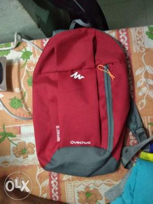 Red And Gray Quechua Backpack