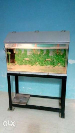 2.5 foot fish tank with stand & pump