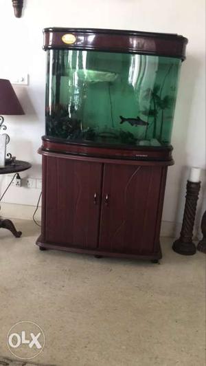 2 year old Aquarium. 150 litres of tank, selling