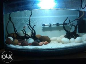 3 driftwoods for sale