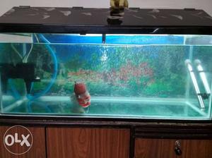 3 feet / 15 inch fish tank with cover
