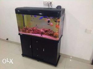 3feet aquarium with cabinet filter heater 2led