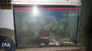 3ft/6ft big fish aqurium & delivery charge paid