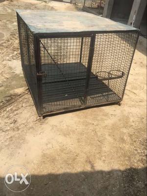 4/5 dog cage fatya lgya hoya na niche bhul kul ok