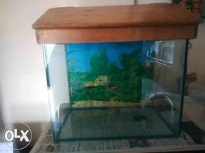 9x12 inch fish tank with wooden cover.