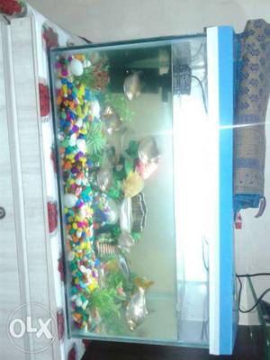All good condition fishs 20 pcs with attach