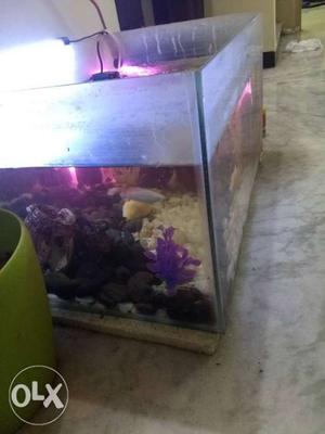 Aquarium fish tank, air pump, filter
