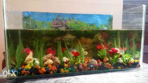 Aquarium for sale