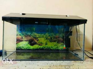 Aquarium full set-up