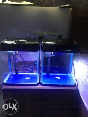 Aquarium on sale