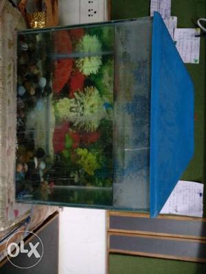 Aquarium with top for sale grab it todayy !!