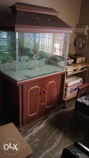 Big Fish tank for sale with coverd stand