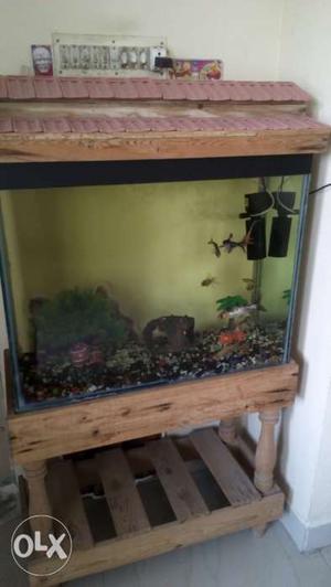Big fish tank for sale along with fishes with all