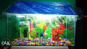 Brand new aquarium tank