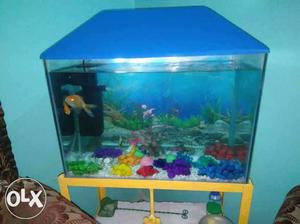 Complete aquarium with filter machine and a