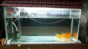 Excellent condition fish tank for sale. size-