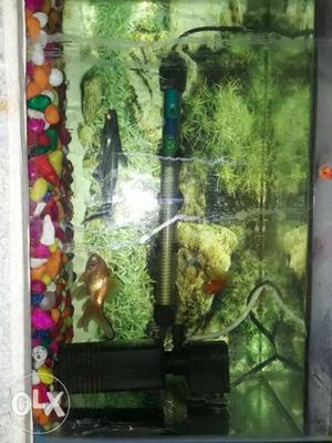 FISH TANK In working condition " fish tank