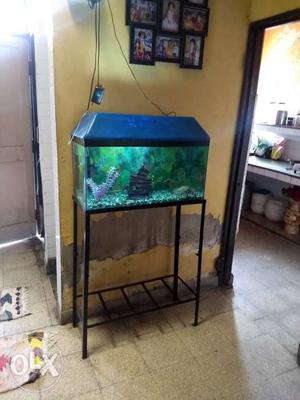 Fish Aquarium with stand water filter, oxygen