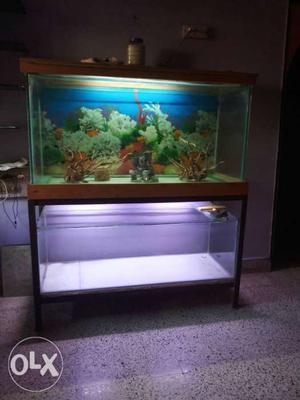 Fish Tank With shed rack &power filter