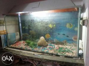 Fish aquarium with filter (Length/
