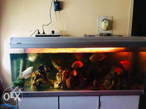 Fish tank for sale 5 feet with full set