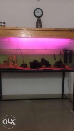 Fish tank,full set