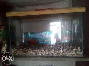 Fish tank good condison only ..