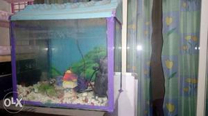 Fish tank in good condition