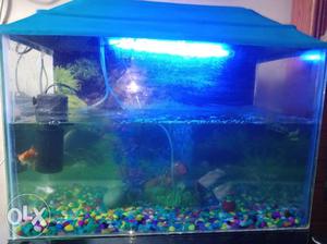 Fish tank in good condition at lower price