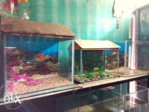 Fish tank new